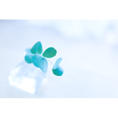 年末年始のお知らせと入り口について（指圧治療院WillRich）