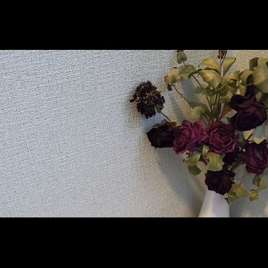2021年9月のおすすめ絵本は「QUI NEL MIO PICCOLO MONDO」です（見守り付きマッサージの指圧治療院WillRich）