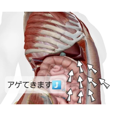 内臓アゲアゲキャンペーンを開催！いつものマッサージに勝手に追加！（指圧治療院WillRich）