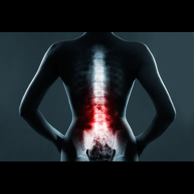 椎間板ヘルニア施術、アップデートしました（指圧治療院WillRich）