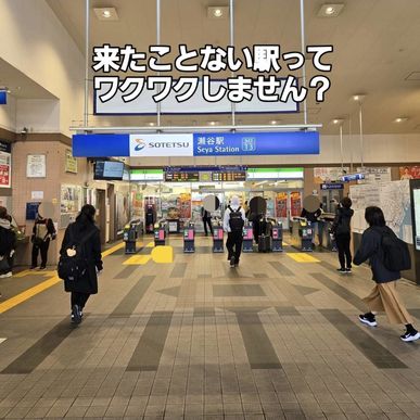 ブログ　休日の楽しい散策のお話（指圧治療院WillRich）