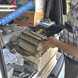 ブログ　ある種、私の理想形に出会いました（指圧治療院WillRich)