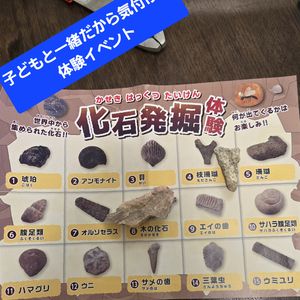 ブログ　指圧もするけど子どもと夏休みもします（指圧治療院WillRich）
