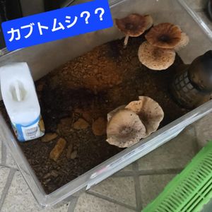 ブログ　最近の小さな発見と、大きな気づき　（指圧治療院WillRich）